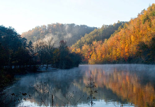 Ocoee River Doodles in Ocoee, TN