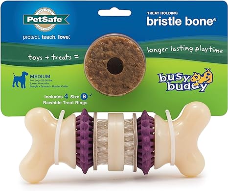 Busy Buddy Bristle Bone