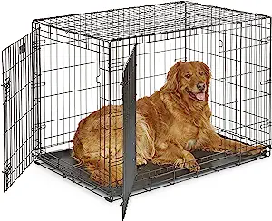 42 Double Door iCrate Dog Crate