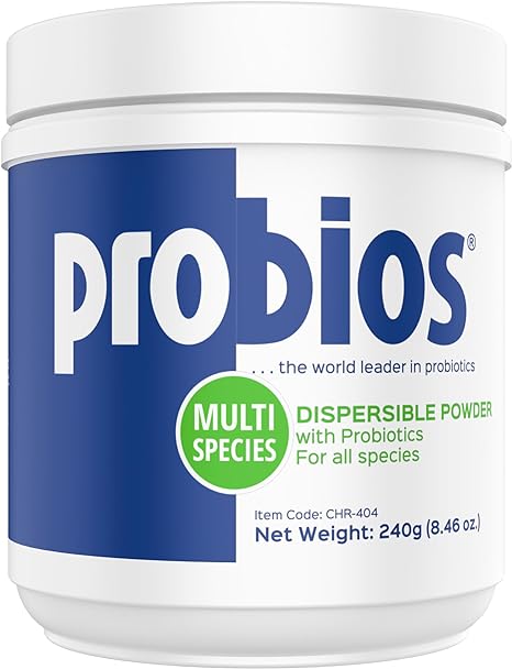 Probios Vet Plus 